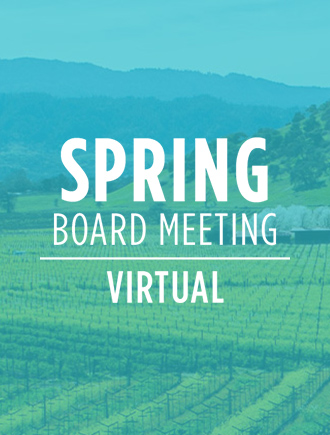 Spring Board Meeting 2021