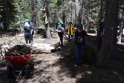 Tourism Cares North Tahoe Summit forest cleanup 