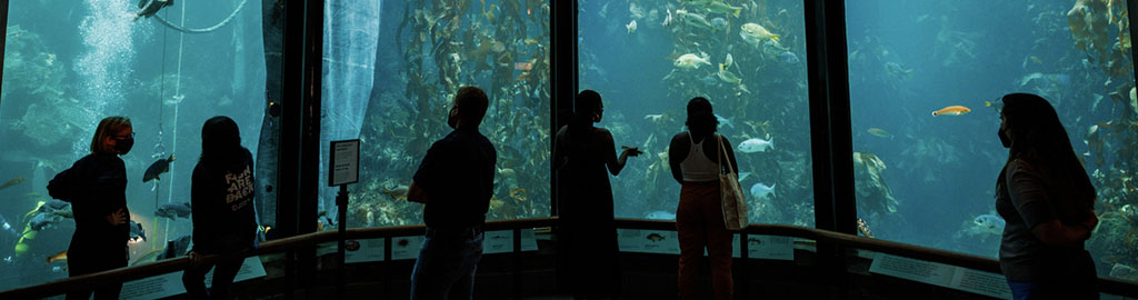 Global Influencer Advisory Board visit Monterey Bay Aquarium