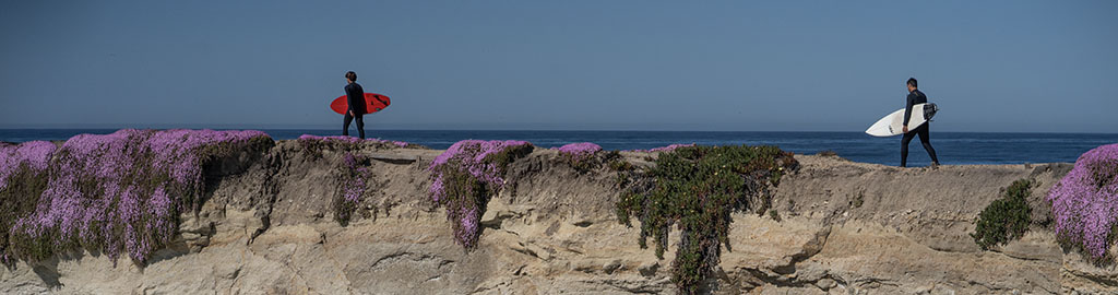 Surfers at Steamer Lane, a historic surf spot in Santa Cruz, California on May 9, 2024.