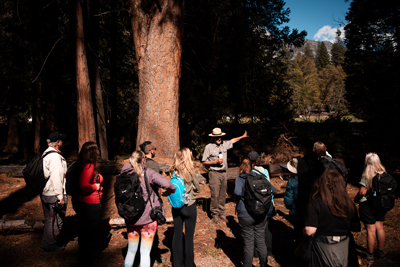 Media on a post-IPW FAM at Yosemite